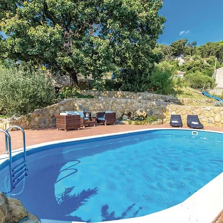 Pet Friendly Apartment *