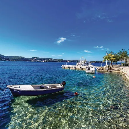 Pet Friendly Appartement