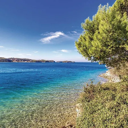 Appartement Pet Friendly *